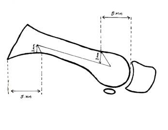 Fig1